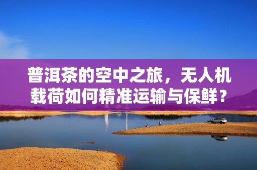 普洱茶的空中之旅，无人机载荷如何精准运输与保鲜？