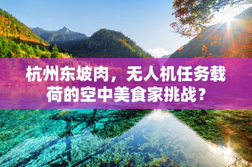 杭州东坡肉，无人机任务载荷的空中美食家挑战？