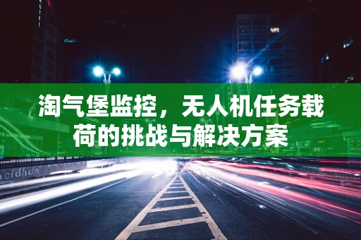 淘气堡监控，无人机任务载荷的挑战与解决方案