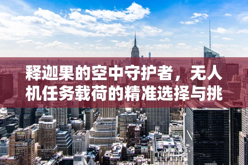 释迦果的空中守护者，无人机任务载荷的精准选择与挑战