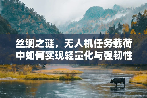 丝绸之谜，无人机任务载荷中如何实现轻量化与强韧性的完美平衡？