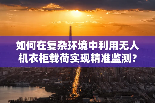 如何在复杂环境中利用无人机衣柜载荷实现精准监测？