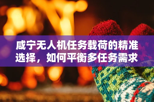 咸宁无人机任务载荷的精准选择，如何平衡多任务需求与地域特性？