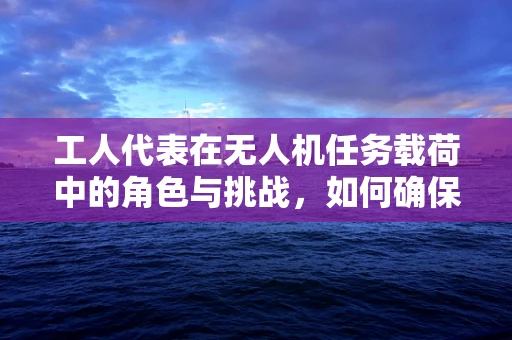 工人代表在无人机任务载荷中的角色与挑战，如何确保安全高效的任务执行？