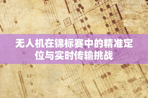 无人机在锦标赛中的精准定位与实时传输挑战