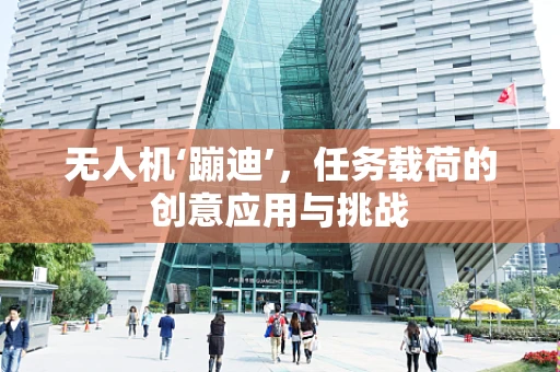 无人机‘蹦迪’，任务载荷的创意应用与挑战