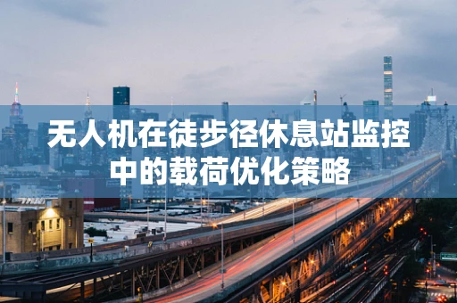 无人机在徒步径休息站监控中的载荷优化策略