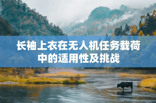 长袖上衣在无人机任务载荷中的适用性及挑战