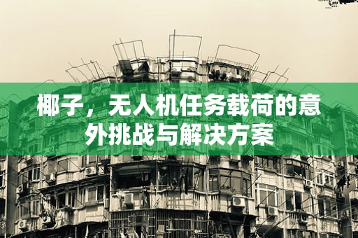 椰子，无人机任务载荷的意外挑战与解决方案