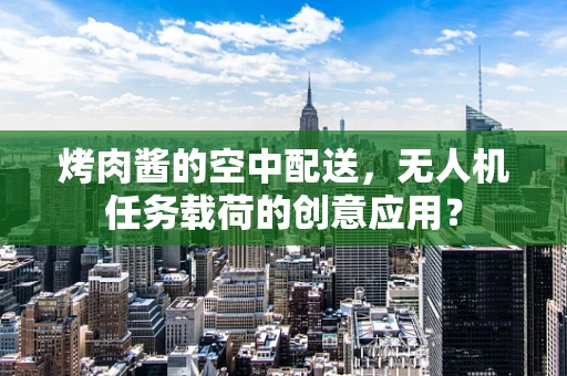 烤肉酱的空中配送，无人机任务载荷的创意应用？
