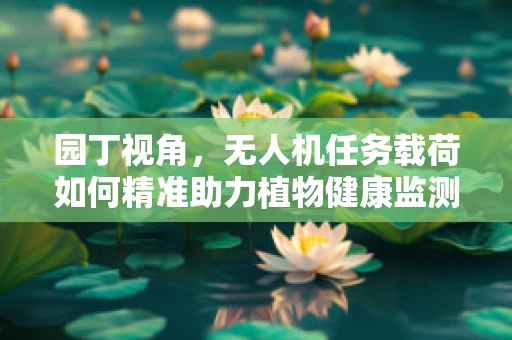 园丁视角，无人机任务载荷如何精准助力植物健康监测？
