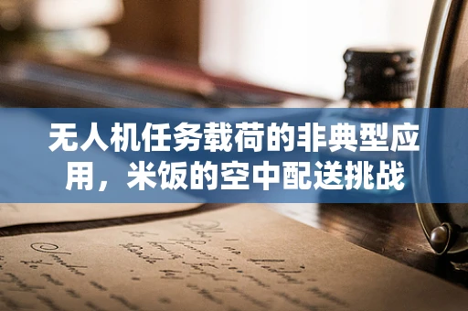 无人机任务载荷的非典型应用，米饭的空中配送挑战