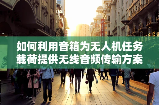 如何利用音箱为无人机任务载荷提供无线音频传输方案？