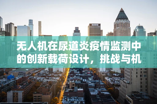 无人机在尿道炎疫情监测中的创新载荷设计，挑战与机遇？