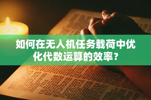 如何在无人机任务载荷中优化代数运算的效率？
