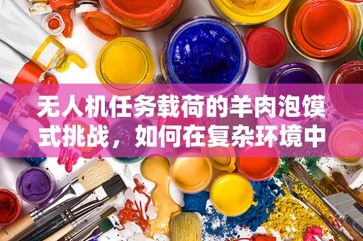 无人机任务载荷的羊肉泡馍式挑战，如何在复杂环境中精准投放？