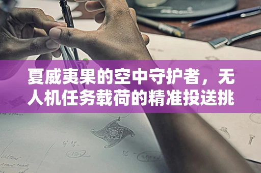 夏威夷果的空中守护者，无人机任务载荷的精准投送挑战
