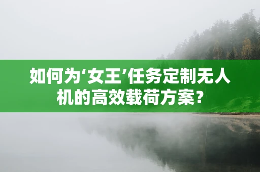 如何为‘女王’任务定制无人机的高效载荷方案？
