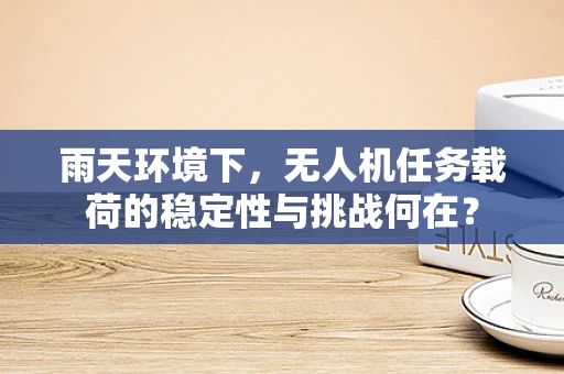 雨天环境下，无人机任务载荷的稳定性与挑战何在？