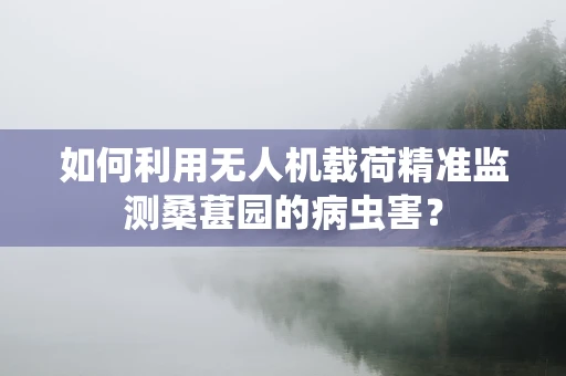 如何利用无人机载荷精准监测桑葚园的病虫害？