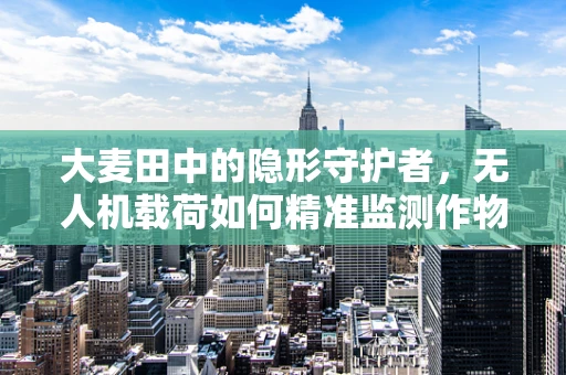 大麦田中的隐形守护者，无人机载荷如何精准监测作物健康？
