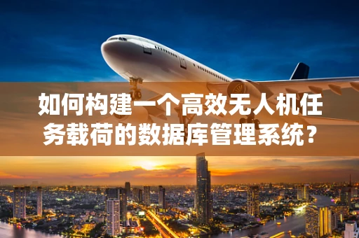 如何构建一个高效无人机任务载荷的数据库管理系统？