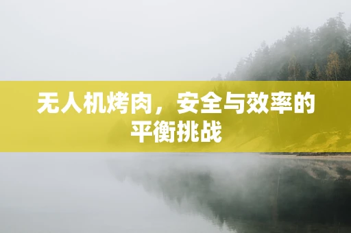 无人机烤肉，安全与效率的平衡挑战