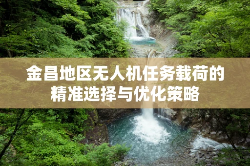 金昌地区无人机任务载荷的精准选择与优化策略