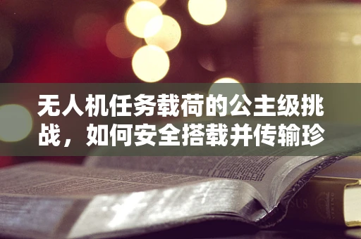 无人机任务载荷的公主级挑战，如何安全搭载并传输珍贵文化遗产影像？