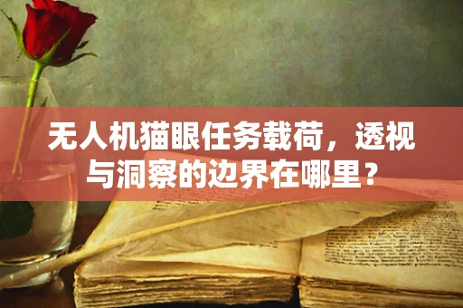 无人机猫眼任务载荷，透视与洞察的边界在哪里？