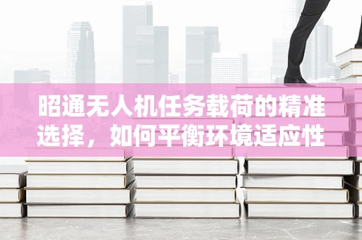 昭通无人机任务载荷的精准选择，如何平衡环境适应性与任务效率？