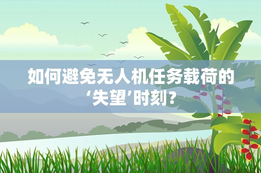 如何避免无人机任务载荷的‘失望’时刻？