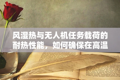 风湿热与无人机任务载荷的耐热性能，如何确保在高温环境下的稳定飞行？