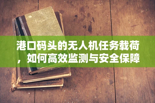 港口码头的无人机任务载荷，如何高效监测与安全保障？