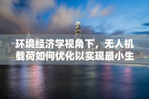 环境经济学视角下，无人机载荷如何优化以实现最小生态影响？
