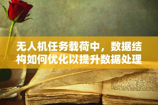 无人机任务载荷中，数据结构如何优化以提升数据处理效率？