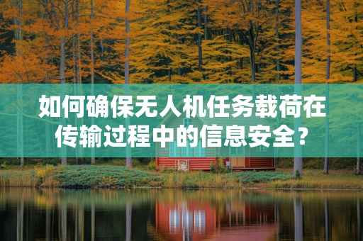 如何确保无人机任务载荷在传输过程中的信息安全？
