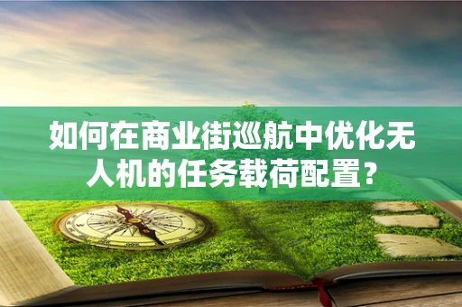 如何在商业街巡航中优化无人机的任务载荷配置？