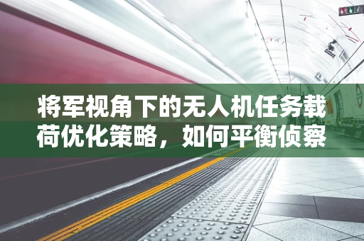 将军视角下的无人机任务载荷优化策略，如何平衡侦察与打击能力？