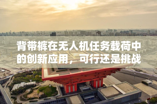 背带裤在无人机任务载荷中的创新应用，可行还是挑战？