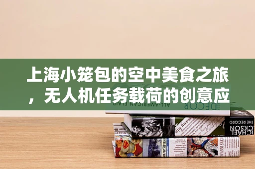 上海小笼包的空中美食之旅，无人机任务载荷的创意应用