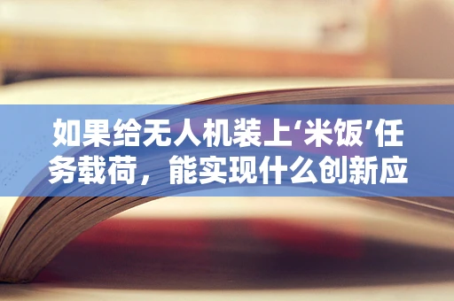 如果给无人机装上‘米饭’任务载荷，能实现什么创新应用？