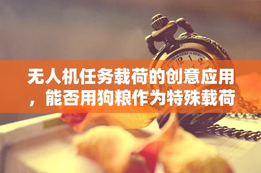 无人机任务载荷的创意应用，能否用狗粮作为特殊载荷？