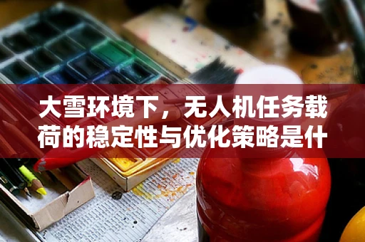 大雪环境下，无人机任务载荷的稳定性与优化策略是什么？