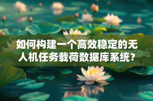 如何构建一个高效稳定的无人机任务载荷数据库系统？