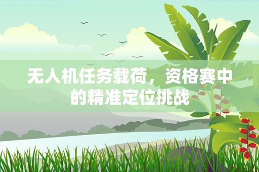 无人机任务载荷，资格赛中的精准定位挑战
