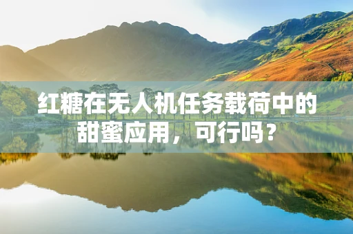 红糖在无人机任务载荷中的甜蜜应用，可行吗？
