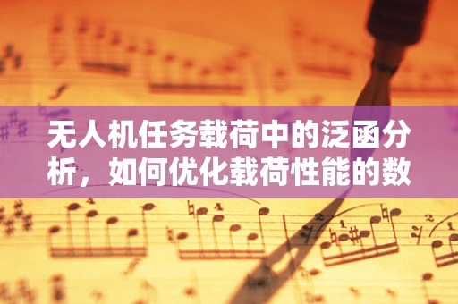 无人机任务载荷中的泛函分析，如何优化载荷性能的数学之钥？