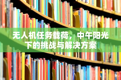 无人机任务载荷，中午阳光下的挑战与解决方案