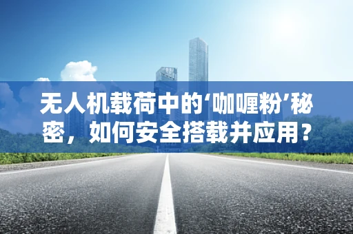 无人机载荷中的‘咖喱粉’秘密，如何安全搭载并应用？
